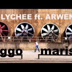 VIGGO MARIS - LYCHEE ft ARWEN
